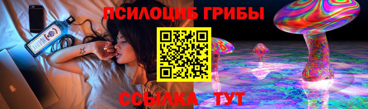 Кольчугино  Галлюциногенные грибы Psilocybine cubensis  Вход с VPN 